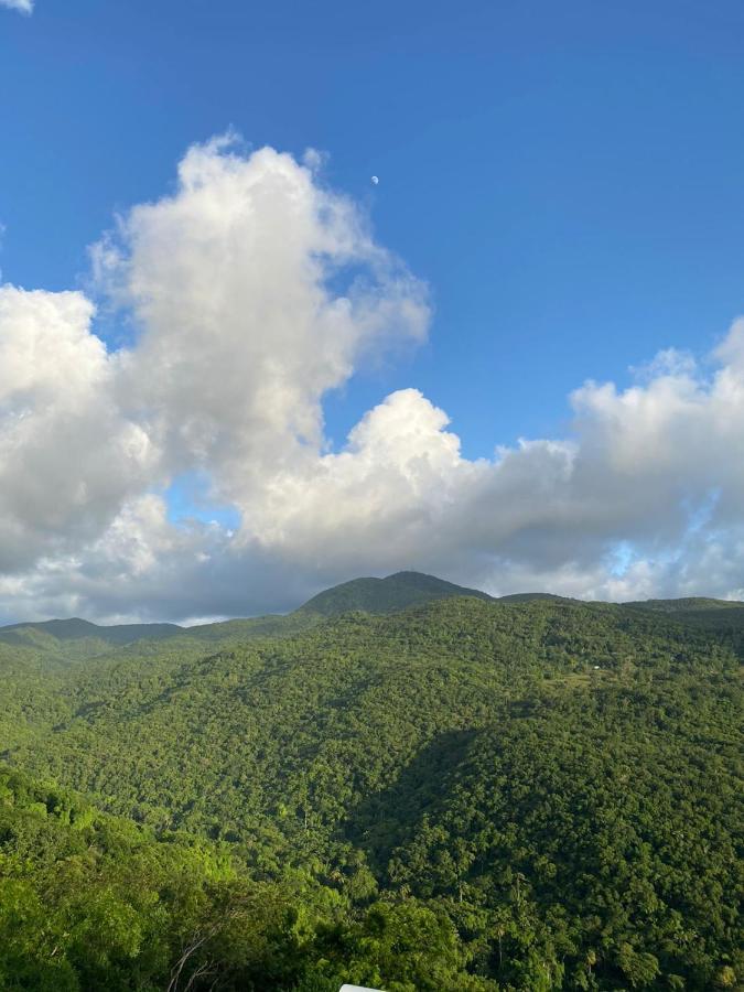 Tranquillite Vert بوانت-نوار المظهر الخارجي الصورة